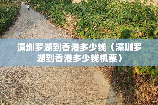 深圳罗湖到香港多少钱（深圳罗湖到香港多少钱机票）