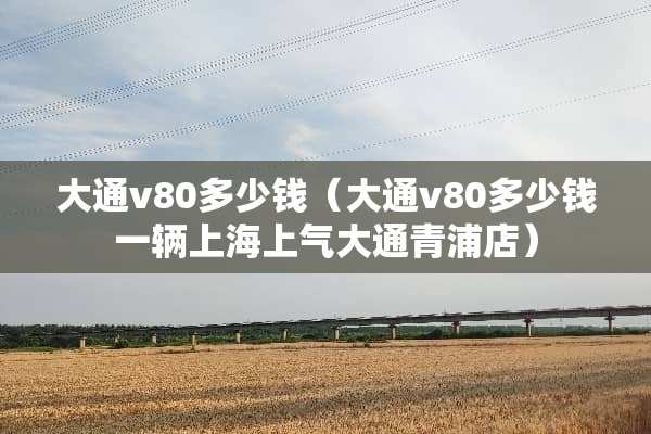 大通v80多少钱（大通v80多少钱一辆上海上气大通青浦店）