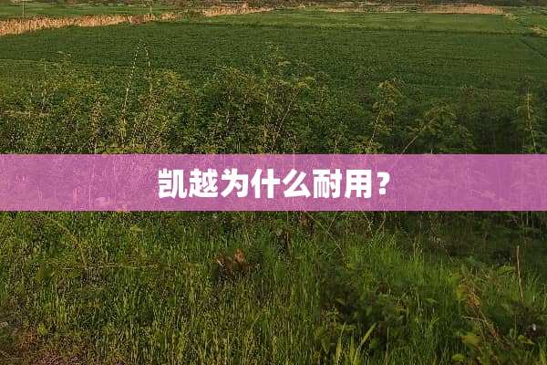 凯越为什么耐用？