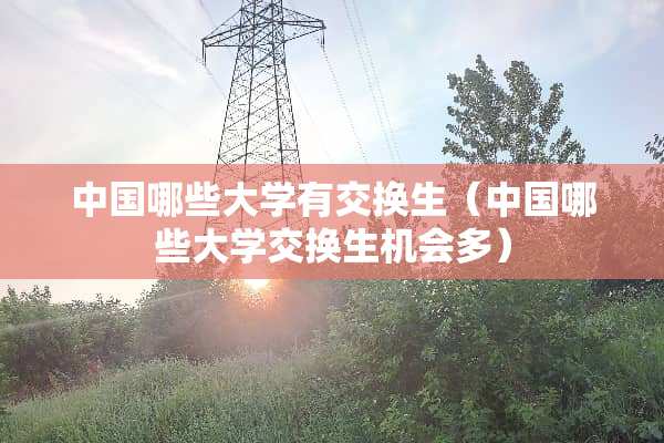 中国哪些大学有交换生（中国哪些大学交换生机会多）