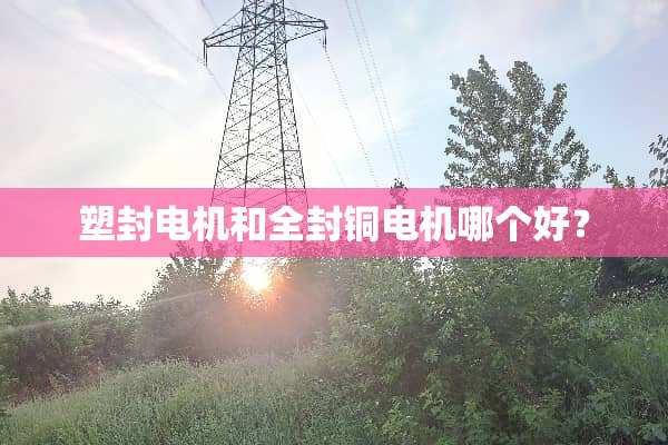 塑封电机和全封铜电机哪个好？