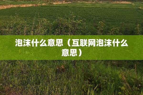 泡沫什么意思（互联网泡沫什么意思）