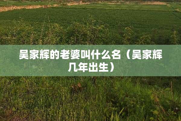 吴家辉的老婆叫什么名（吴家辉几年出生）