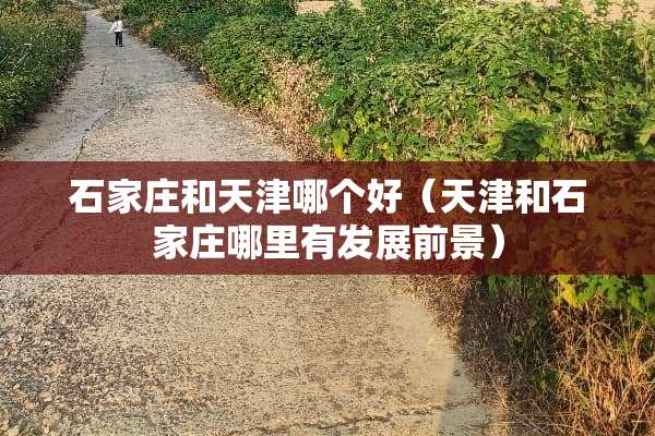 石家庄和天津哪个好（天津和石家庄哪里有发展前景）