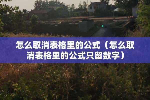 怎么取消表格里的公式（怎么取消表格里的公式只留数字）