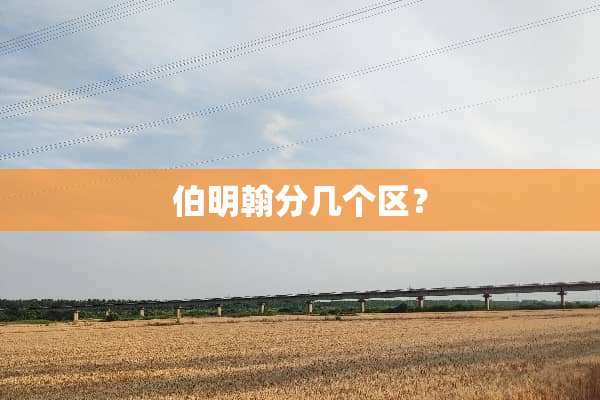 伯明翰分几个区？