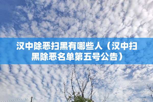 汉中除恶扫黑有哪些人（汉中扫黑除恶名单第五号公告）