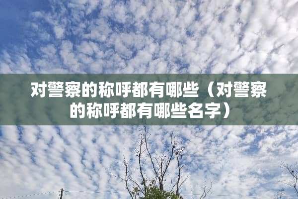 对**的称呼都有哪些（对**的称呼都有哪些名字）
