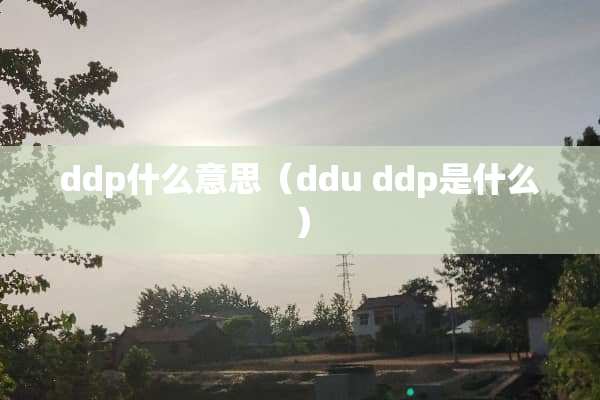 ddp什么意思（ddu ddp是什么）