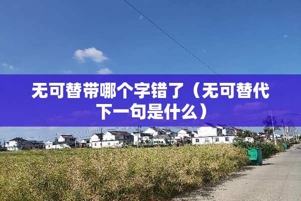 无可替带哪个字错了（无可替代下一句是什么）