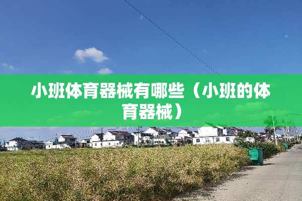小班体育器械有哪些（小班的体育器械）