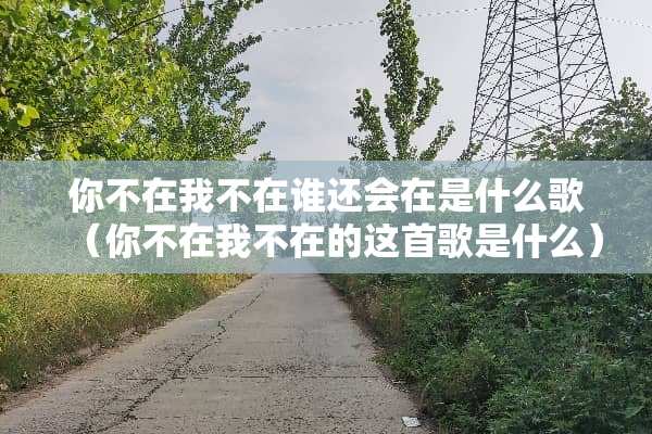 你不在我不在谁还会在是什么歌（你不在我不在的这首歌是什么）