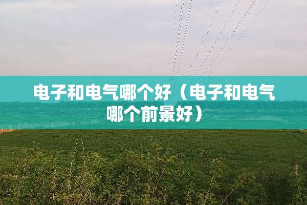 电子和电气哪个好（电子和电气哪个前景好）