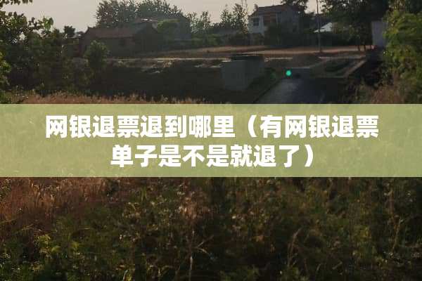网银退票退到哪里（有网银退票单子是不是就退了）