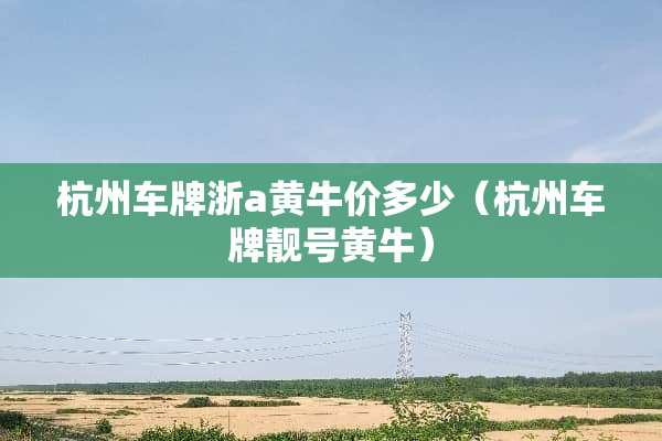 杭州车牌浙a黄牛价多少（杭州车牌靓号黄牛）