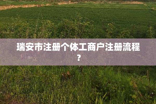 瑞安市注册个体工商户注册流程？