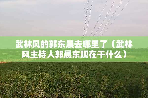 武林风的郭东晨去哪里了（武林风主持人郭晨东现在干什么）