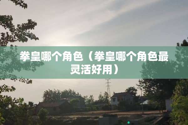 拳皇哪个角色（拳皇哪个角色最灵活好用）