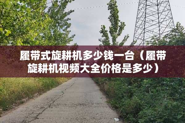 履带式旋耕机多少钱一台（履带旋耕机视频大全价格是多少）
