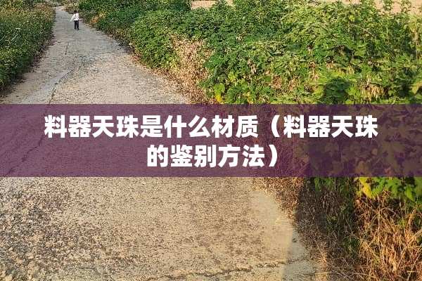 料器天珠是什么材质（料器天珠的鉴别方法）