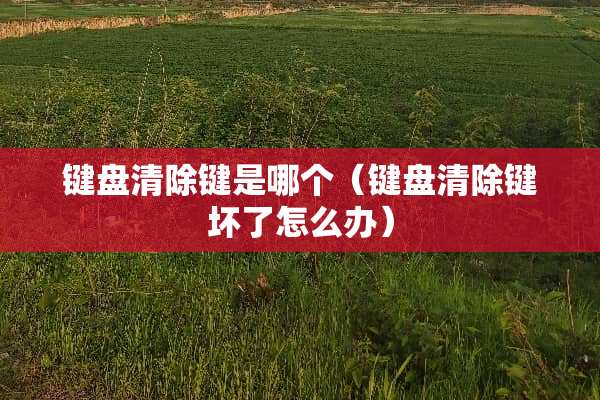 键盘清除键是哪个（键盘清除键坏了怎么办）