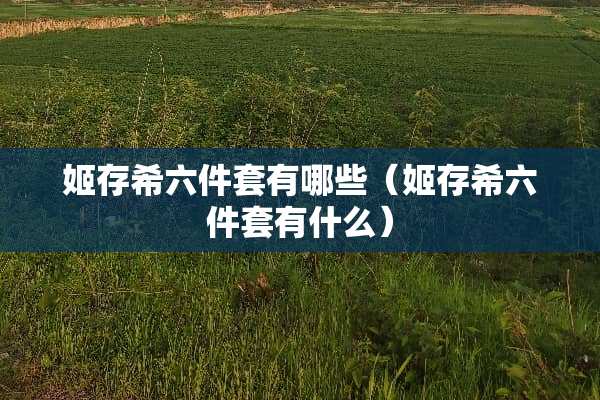 姬存希六件套有哪些（姬存希六件套有什么）