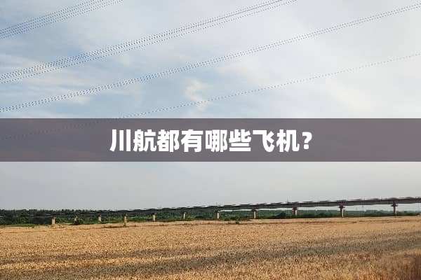 川航都有哪些飞机？