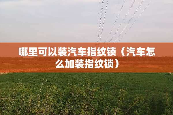 哪里可以装汽车指纹锁（汽车怎么加装指纹锁）