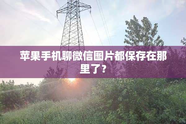 苹果手机聊微信图片都保存在那里了？