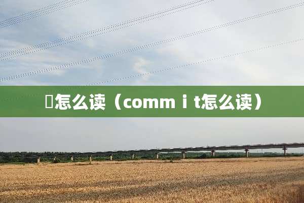瑝怎么读（commⅰt怎么读）