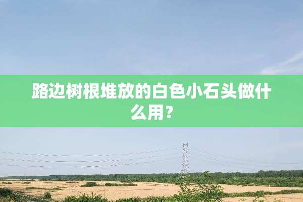 路边树根堆放的白色小石头做什么用？