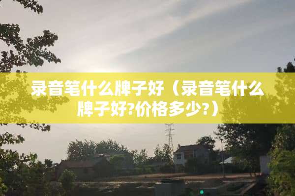 录音笔什么牌子好（录音笔什么牌子好?价格多少?）