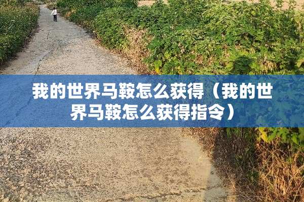 我的世界马鞍怎么获得（我的世界马鞍怎么获得指令）