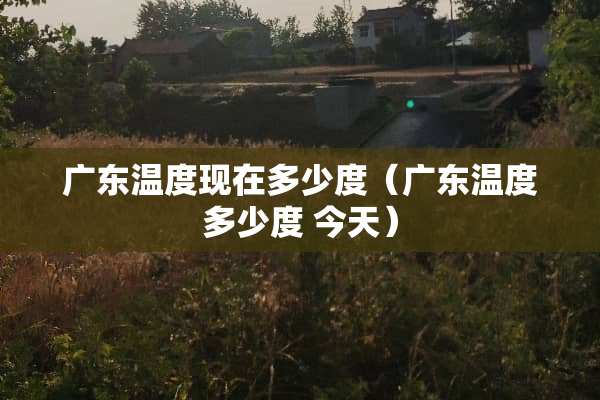 广东温度现在多少度（广东温度多少度 今天）