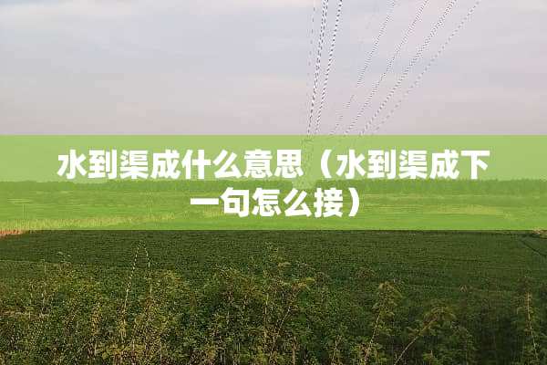 水到渠成什么意思（水到渠成下一句怎么接）
