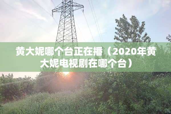 黄大妮哪个台正在播（2020年黄大妮电视剧在哪个台）