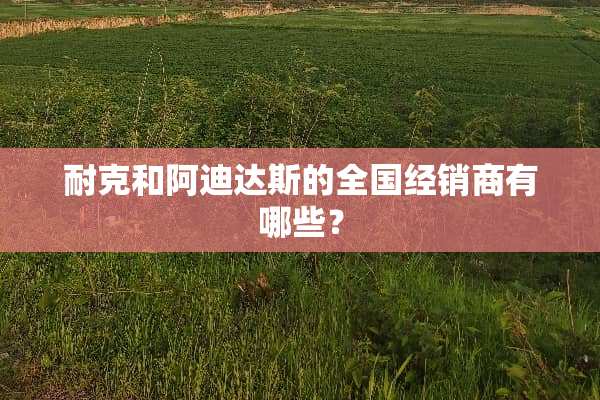 耐克和阿迪达斯的全国经销商有哪些？