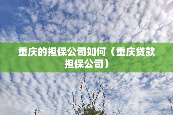 重庆的担保公司如何（重庆贷款担保公司）