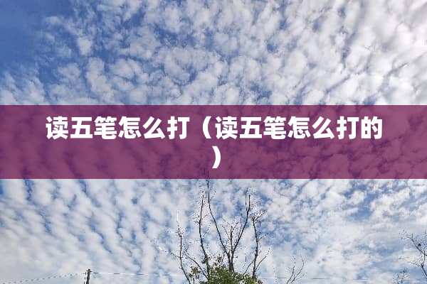 读五笔怎么打（读五笔怎么打的）