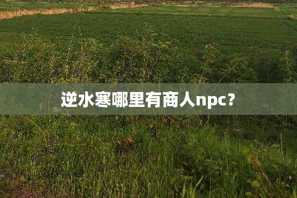 逆水寒哪里有商人npc？