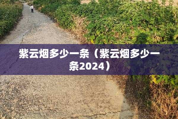 紫云烟多少一条（紫云烟多少一条2024）