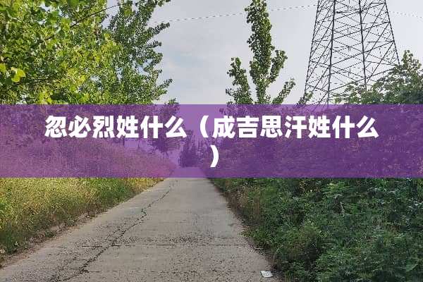 忽必烈姓什么（成吉思汗姓什么）