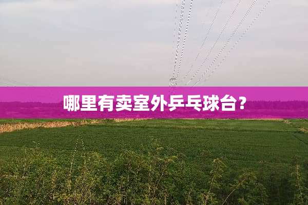 哪里有卖室外乒乓球台？