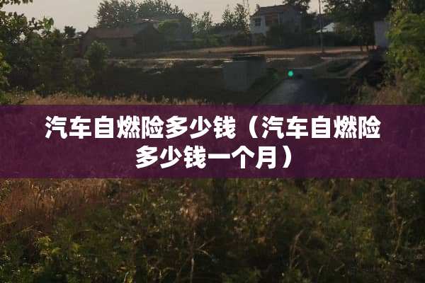 汽车自燃险多少钱（汽车自燃险多少钱一个月）