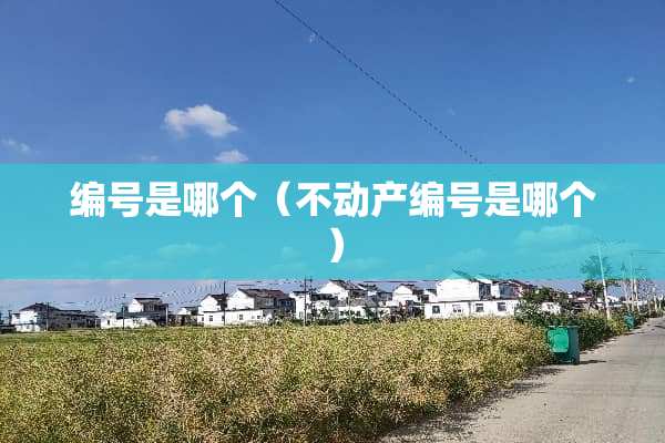 编号是哪个（不动产编号是哪个）