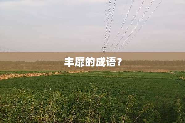 丰靡的成语？