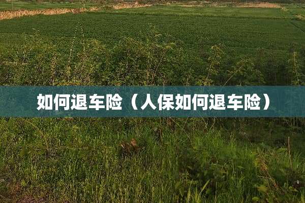 如何退车险（人保如何退车险）