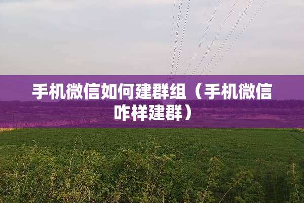 手机微信如何建群组（手机微信咋样建群）