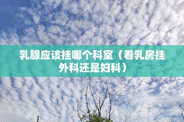 *腺应该挂哪个科室（看*房挂外科还是妇科）