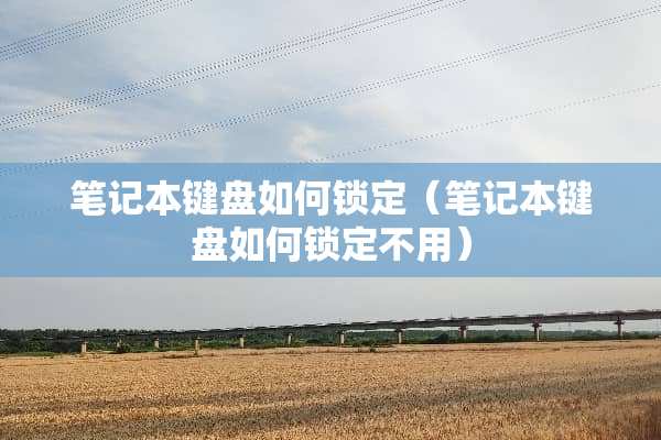 笔记本键盘如何锁定（笔记本键盘如何锁定不用）